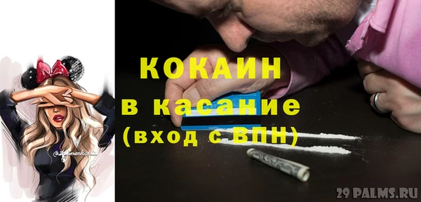 твердый Новозыбков
