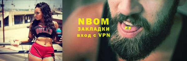 стаф Алзамай
