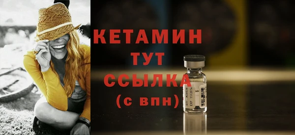 твердый Новозыбков