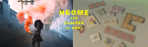 стаф Алзамай
