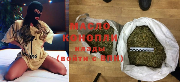твердый Новозыбков