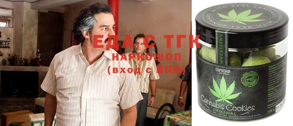 твердый Новозыбков