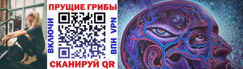 Галлюциногенные грибы прущие грибы  цены   гидра сайт  Ардатов 