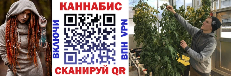 где можно купить   Ардатов  Каннабис марихуана 